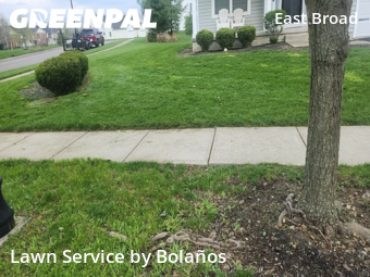 Grass Cutting nearby Reynoldsburg, OH, 