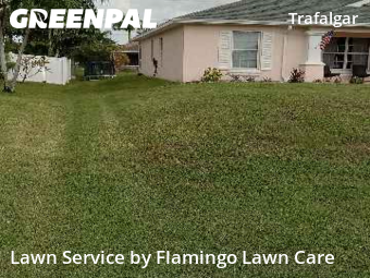 Yard Upkeep in Cape Coral, 33991, Grass Services by Flamingo Lawn Care, work completed in Nov , 2025