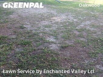 Lawn Mow nearby Mims, FL, 