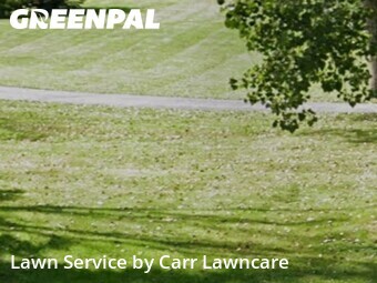 Grass Cut nearby Fairport, NY, 