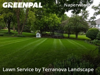 Lawn Care nearby Naperville, IL, 
