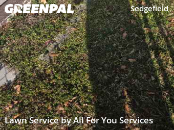 Yard Cutting nearby Newport News, VA, 