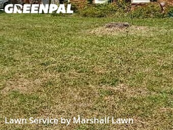 Lawn Care nearby Virginia Beach, VA, 