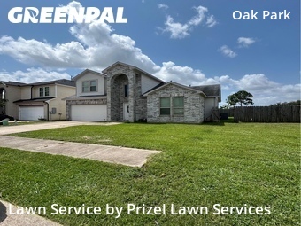 Lawn Cutin Houston,77082,Lawn Service by Prizel Lawn Services, work completed in Jun , 2026