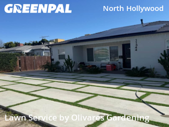 Landscaping Installation Los Angeles,91606,Landscaping Cleanup by Olivares Gardening , work completed in Feb , 2026
