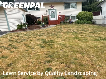 Lawn Cut nearby Lynnwood, WA, 