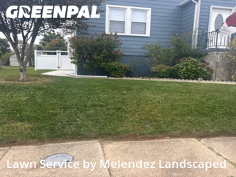 Yard Cutting in Parkville, 21234, Yard Work by Melendez Landscaped , work completed in Oct , 2025
