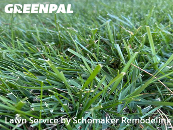 Lawn Cutting nearby Aurora, CO, 