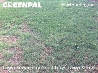 Lawn Maintenance nearby Arlington, TX, 