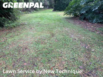 Yard Care in Longwood, 32779, Turf Services by New Technique, work completed in Nov , 2025