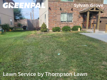 Lawn Care Servicein Overland Park,66212,Lawn Cut by Thompson Lawn, work completed in Nov , 2025