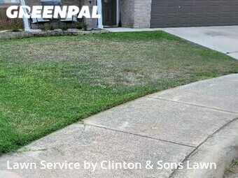 Yard Cutting nearby San Antonio, TX, 