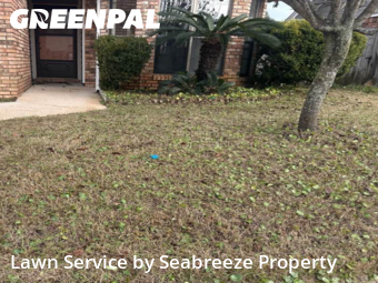 Lawn Cut nearby Mary Esther, FL, 