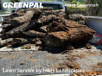 Grass Cut nearby Savannah, GA, 