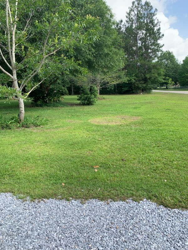 Order Lawn Care in Biloxi, MS, 39532