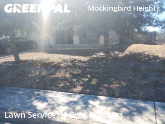 Grass Cut nearby New Braunfels, TX, 