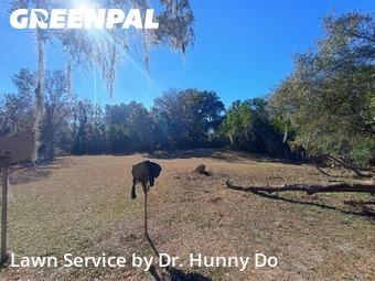 Lawn Cut nearby Mulberry, FL, 