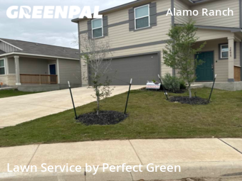 Grass Cut nearby San Antonio, TX, 