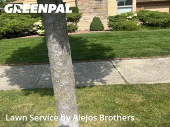Lawn Mowingin Elmhurst,60126,Yard Cutting by Alejos Brothers, work completed in Nov , 2025