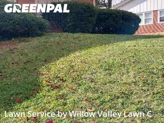 Lawn Care nearby Cave Spring, VA, 