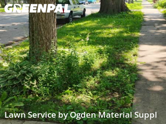 Lawn Care nearby Evanston, IL, 
