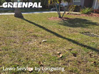 Lawn Mowing Service nearby Clearwater, FL, 