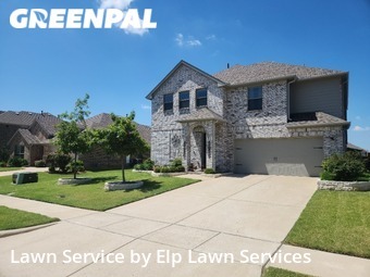 Grass Cut nearby Forney, TX, 