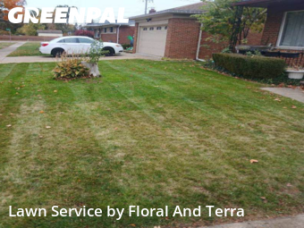 Lawn Maintenance nearby Warren, MI, 