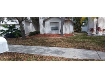 Lawn Service nearby Riverview, FL, 