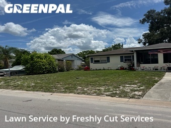 Landscaping Maintenance In Lakeland,33801,Landscaping Cleanup by Freshly Cut Services, work completed in Jul , 2026