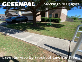 Lawn Cutting nearby New Braunfels, TX, 