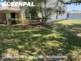 Lawn Mow nearby Clermont, FL, 