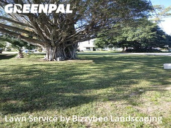 Lawn Mow nearby West Palm Beach, FL, 
