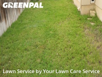 Lawn Mow nearby Briarcliff, TX, 