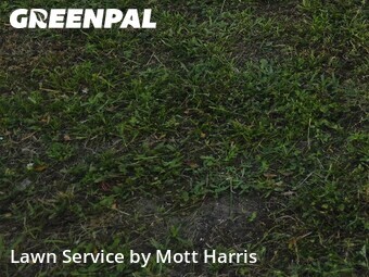 Lawn Mowing nearby Boca Raton, FL, 