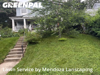 Grass Cut nearby Silver Spring, MD, 