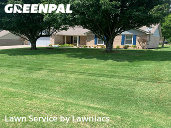 Lawn Cutting nearby Harvest, AL, 