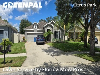 Lawn Mow nearby Odessa, FL, 