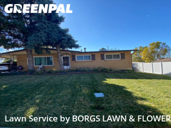 Grass Cut nearby Sunset, UT, 