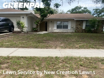 Lawn Cutting nearby Valrico, FL, 