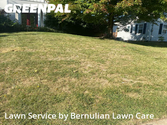 Lawn Cut nearby Olivette, MO, 