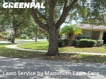 Lawn Cut nearby Riverview, FL, 