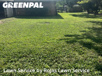 Lawn Maintenance nearby San Juan, TX, 