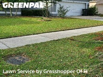 Lawn Mowing Service nearby Valrico, FL, 