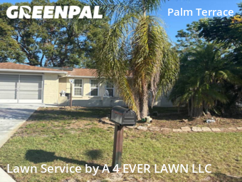 Lawn Mow nearby Port Richey, FL, 