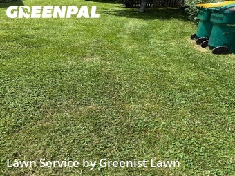 Yard Cutting nearby Spring Hill, TN, 
