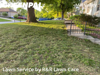 Lawn Cutting nearby Shawnee, MO, 