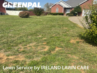 Lawn Mow nearby Clarksville, TN, 