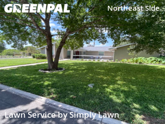 Lawn Maintenance nearby Windcrest, TX, 