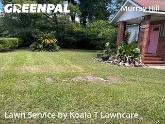 Lawn Service nearby Jacksonville, FL, 